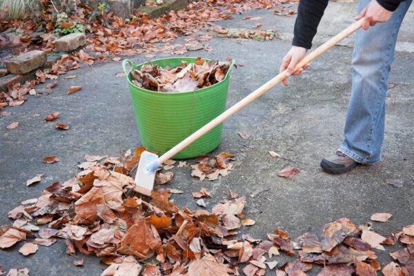 Buckets, Brushes & Brooms