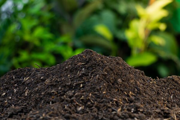 Topsoil, Compost & Bark